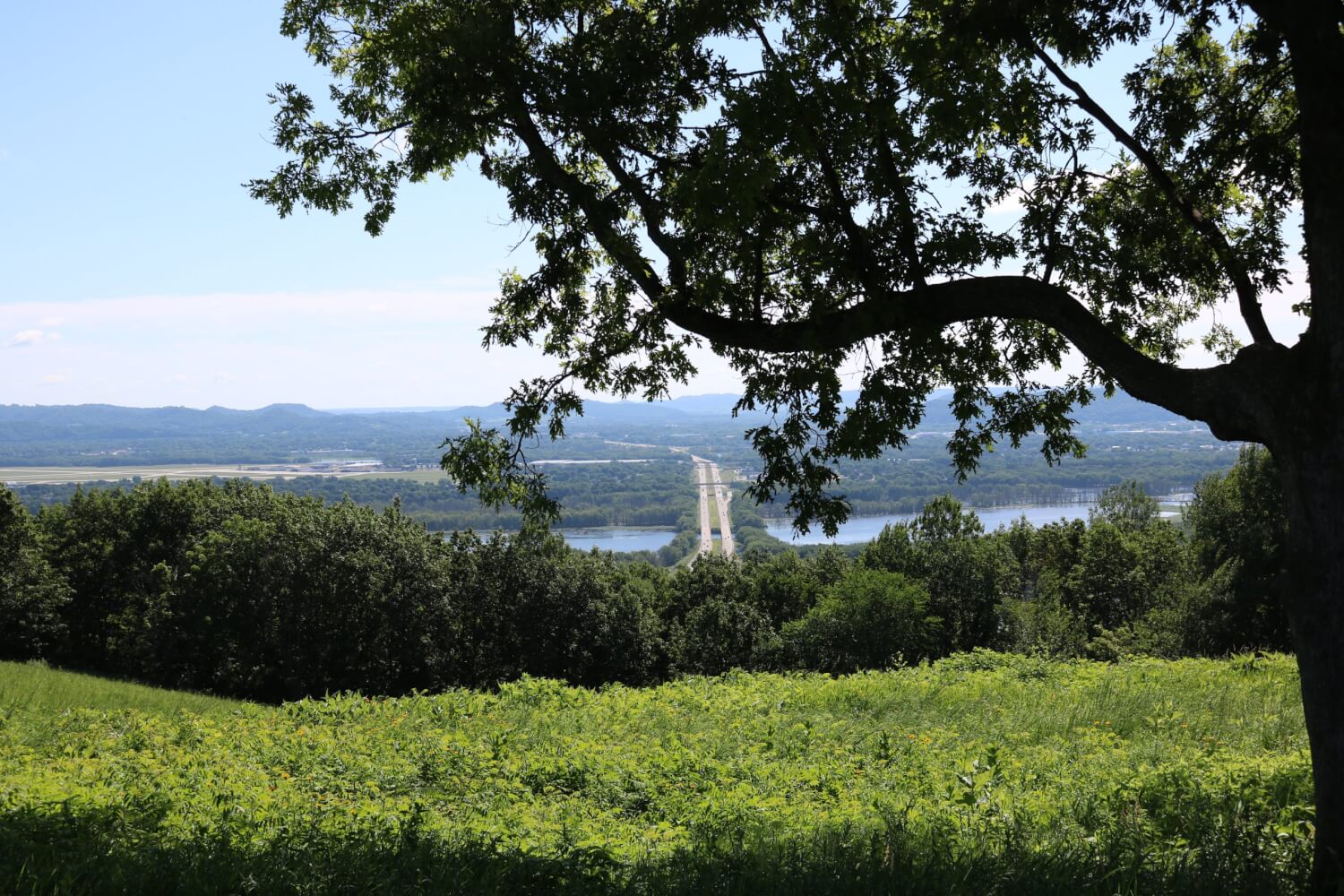 Apple Blossom Overlook