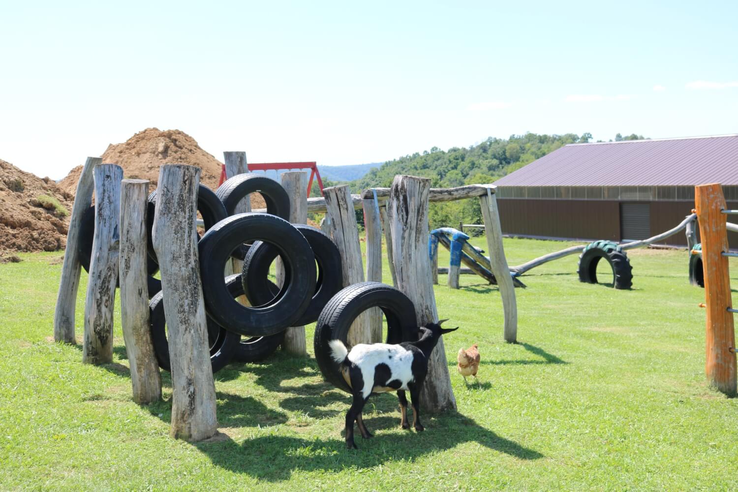 4 Passes To Petting Farm