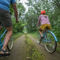 Biking