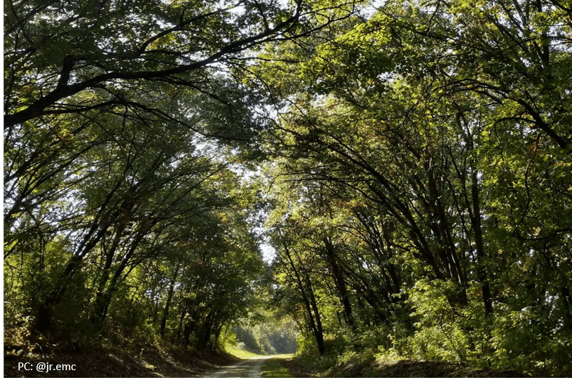 Great River State Trail/GRR