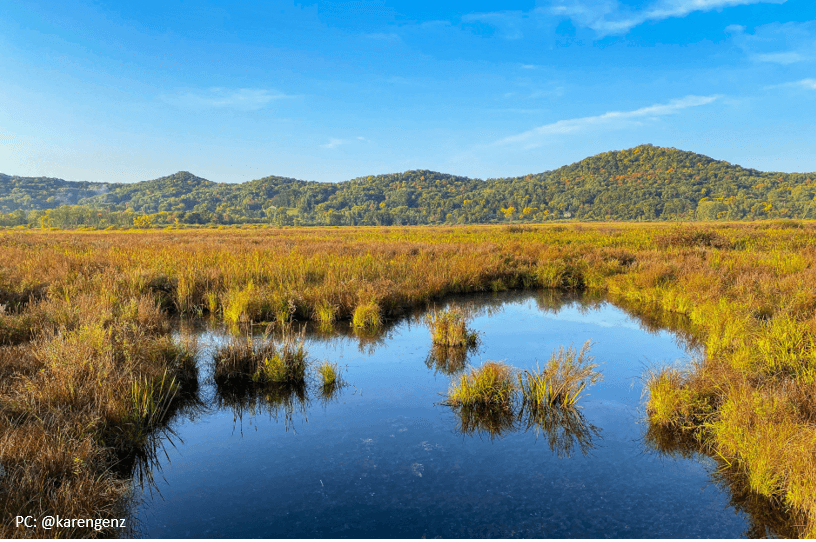 La Crosse River Marsh Hiking Trails