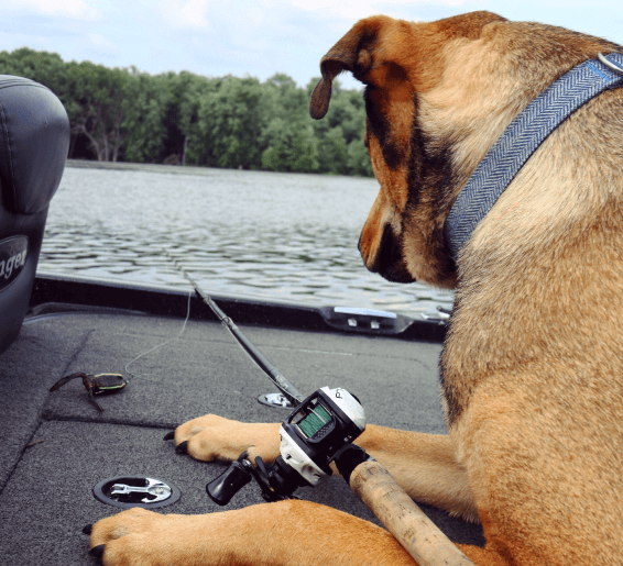 Fishing Excursions 